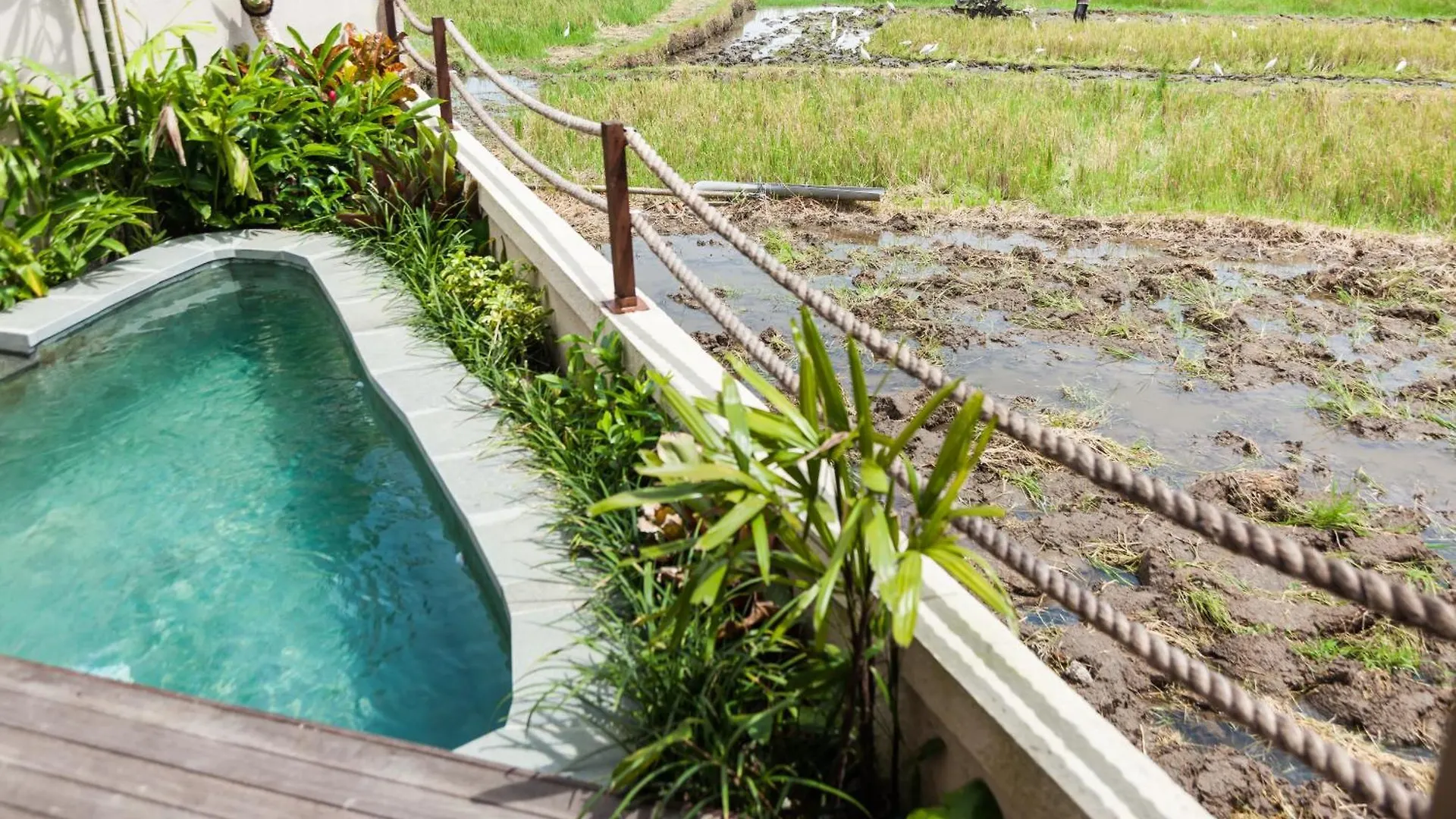 Ledang Ubud Villas By Pramana Villas 0*, Ubud (Bali)